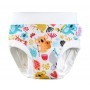 Culotte d'apprentissage Coton Bio - Koala - Petit Lulu