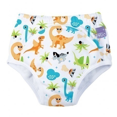 FLYISH DIRECT Culotte d Apprentissage Enfant, Culotte Apprentissage propreté  Fille, Culotte d Apprentissage imperméables, Lot de 6, 2 Ans : :  Mode