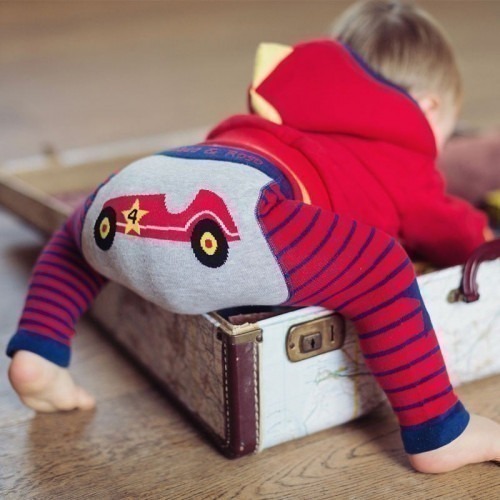 Legging Blade & rose classic car Legging Blade & rose classic car