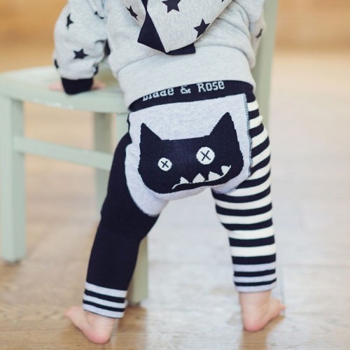 Legging Blade and Rose Crazy Cat Legging Blade and Rose Crazy Cat
