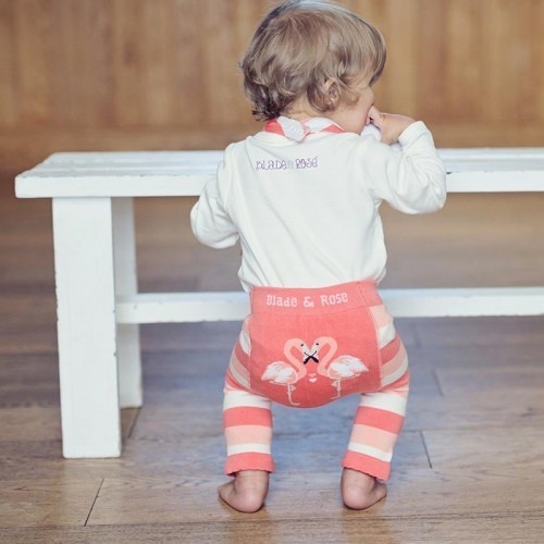 Legging Blade and Rose Flamingo Legging Blade and Rose Flamingo