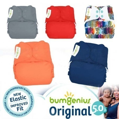 BumGenius V5 panel