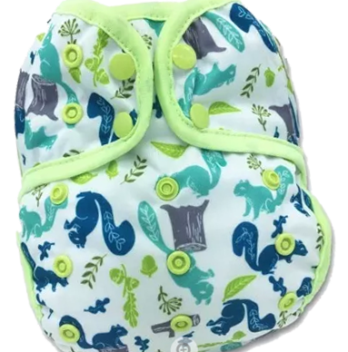 Culotte de protection et première utilisation faire tremper culotte protection