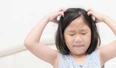 Recettes naturelles contre les poux, pour en venir à bout rapidement