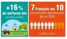 Le marché du bio en France